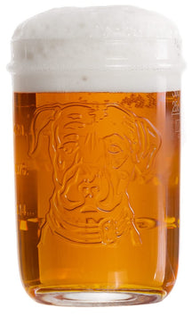 Lagunitas Bierglazen 300 ml - 2 stuks