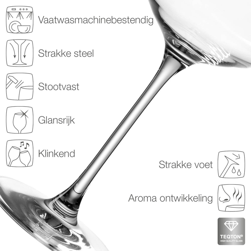 Leonardo Witte Wijnglazen / Riesling Wijnglazen - Puccini - 400 ml - 6 stuks
