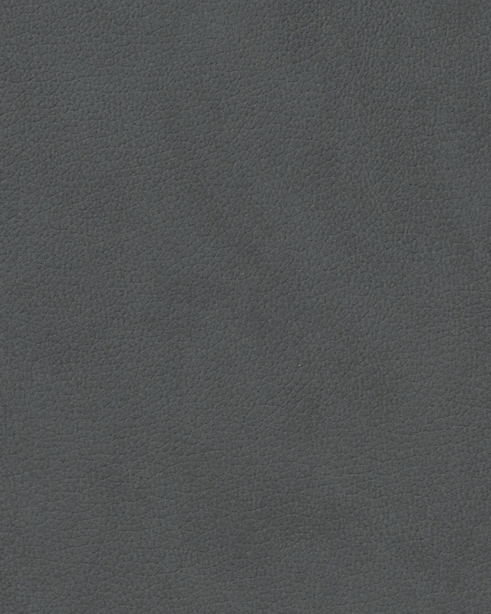 LIND DNA Placemats Nupo - Leer - Anthracite - Curved - Afwasbaar - 44 x 37 cm - 2 Stuks