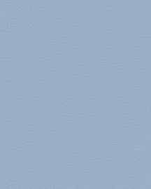 LIND DNA Placemats Nupo - Leer - Lichtblauw 45 x 35 cm - 2 Stuks
