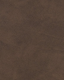 LIND DNA Placemats Nupo - Leer - Dark Brown - Curved - Afwasbaar - 44 x 37 cm - 2 Stuks