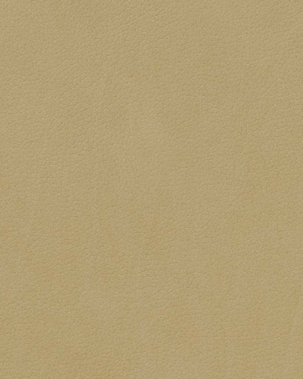 LIND DNA Placemats Nupo - Leer - Khaki - Curved - 44 x 37 cm - 2 Stuks