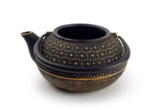 Salt & Pepper Theepot My Tea met RVS Filter - Gietijzer Zwart / Goud - 800 ml