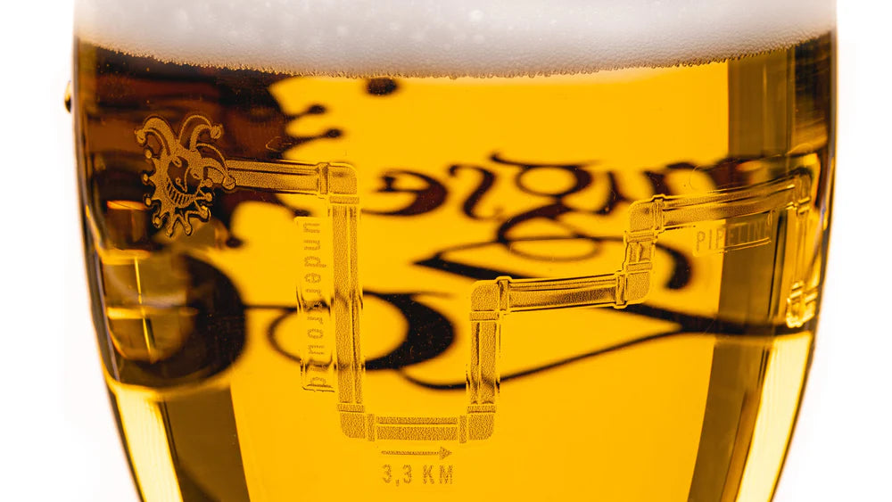Brugse Zot Bierglazen 330 ml - 2 stuks
