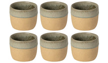 Costa Nova Koffiekopjes Arenito Sage Green 200 ml - 6 stuks
