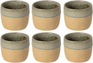 Costa Nova Bekers Arenito Sage Green 360 ml - 6 stuks