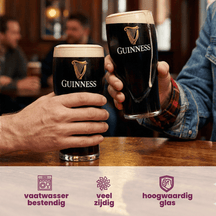 Guinness Bierglazen Pint 500 ml - 2 Stuks