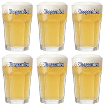 Hoegaarden Bierglazen Witbier - 250 ml - 6 stuks
