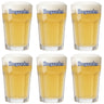 Hoegaarden Bierglazen Witbier - 250 ml - 6 stuks