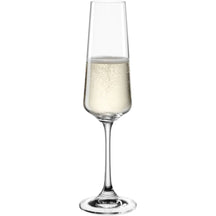 Leonardo Champagneglazen / Flutes - Paladino - 220 ml - 6 stuks