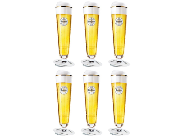 Warsteiner Bierglazen op Voet - 300 ml - 6 stuks