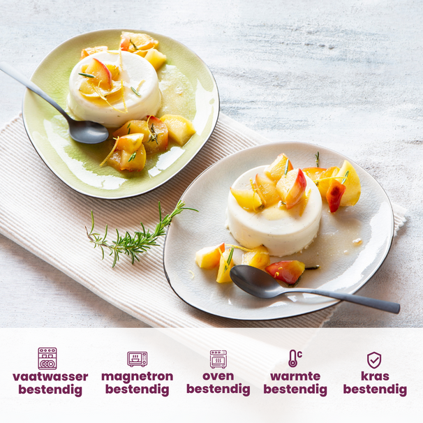 Cosy & Trendy Ontbijtborden / Dessertborden Streetfood 19.5 x 16 cm - 10 Stuks