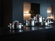 WMF Pannenset Function 4 - RVS - 5 Delig - Downdraft Geschikt - Kookpan ø 16, 20, 20 en 24 cm en Steelpan ø 16 cm