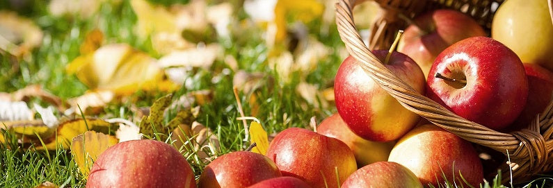 Verse appelmoes in een handomdraai, zonder gedoe