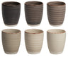 Cookinglife Koffiekopjes / Senseo Kopjes - Delice Grijs 180 ml - 6 stuks
