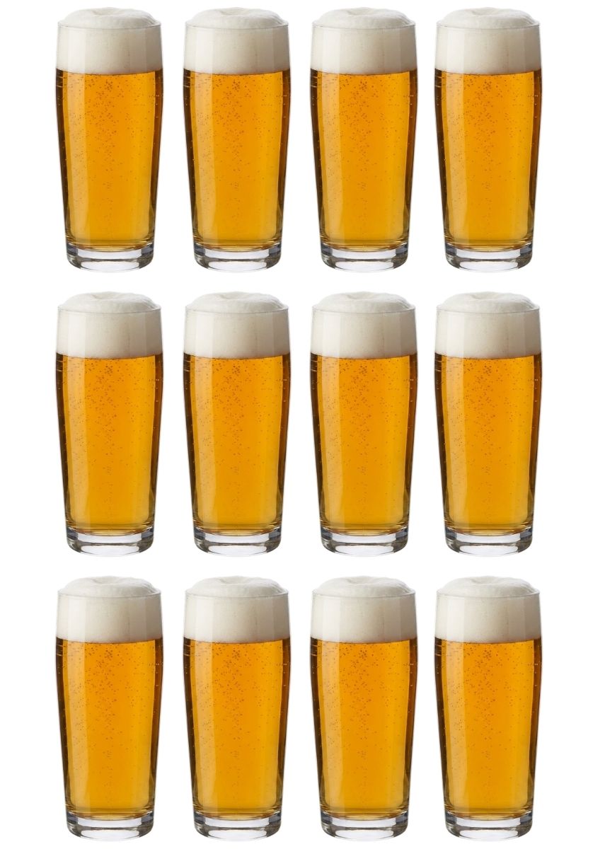 Cookinglife Bierglazen Fluitje 190 ml - 12 stuks
