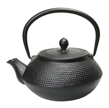 Cookinglife Theepot Arare met RVS Filter - Gietijzer Zwart - 800 ml