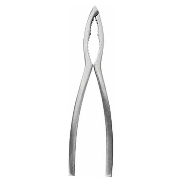 Crafts La Marée Kreeftentang RVS - 15.7 cm