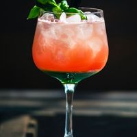 Rijk aan vitamine C!