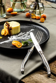 Laguiole Style De Vie Bestekset & Bestekbak - Premium Line - RVS - 24 delig / 6 personen