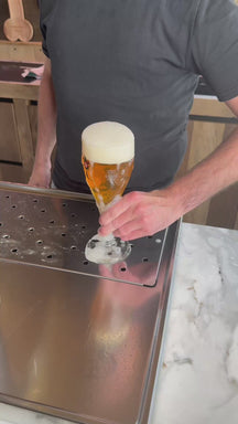 Brugse Zot Bierglazen 330 ml - 2 stuks