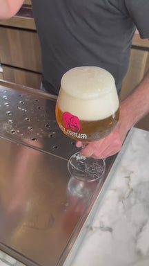 Delirium Bierglazen op Voet 330 ml - 4 Stuks