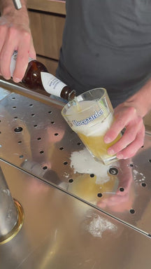 Hoegaarden Bierglazen Witbier - 250 ml - 6 stuks