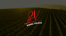 Riedel Wijnglazenset - Champagneglazen - Flutes - Veloce - 570 ml - 4 Stuks