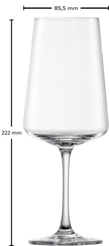 Schott Zwiesel Wijnglazenset MioVino 12-delige - Rode wijnglazen, Witte wijnglazen en Champagneglazen